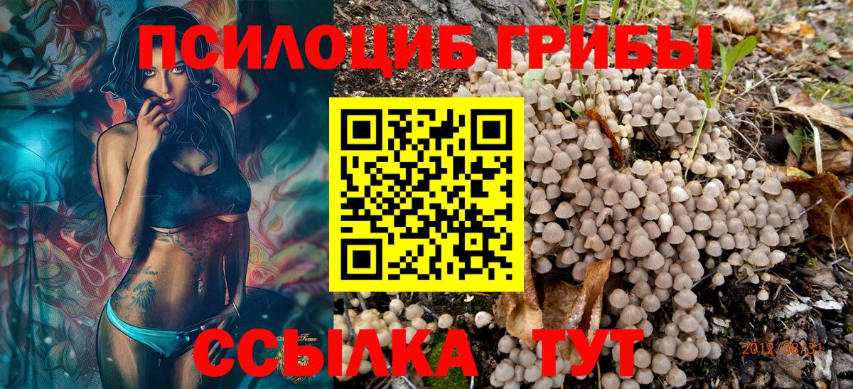 Галлюциногенные грибы мицелий Нальчик